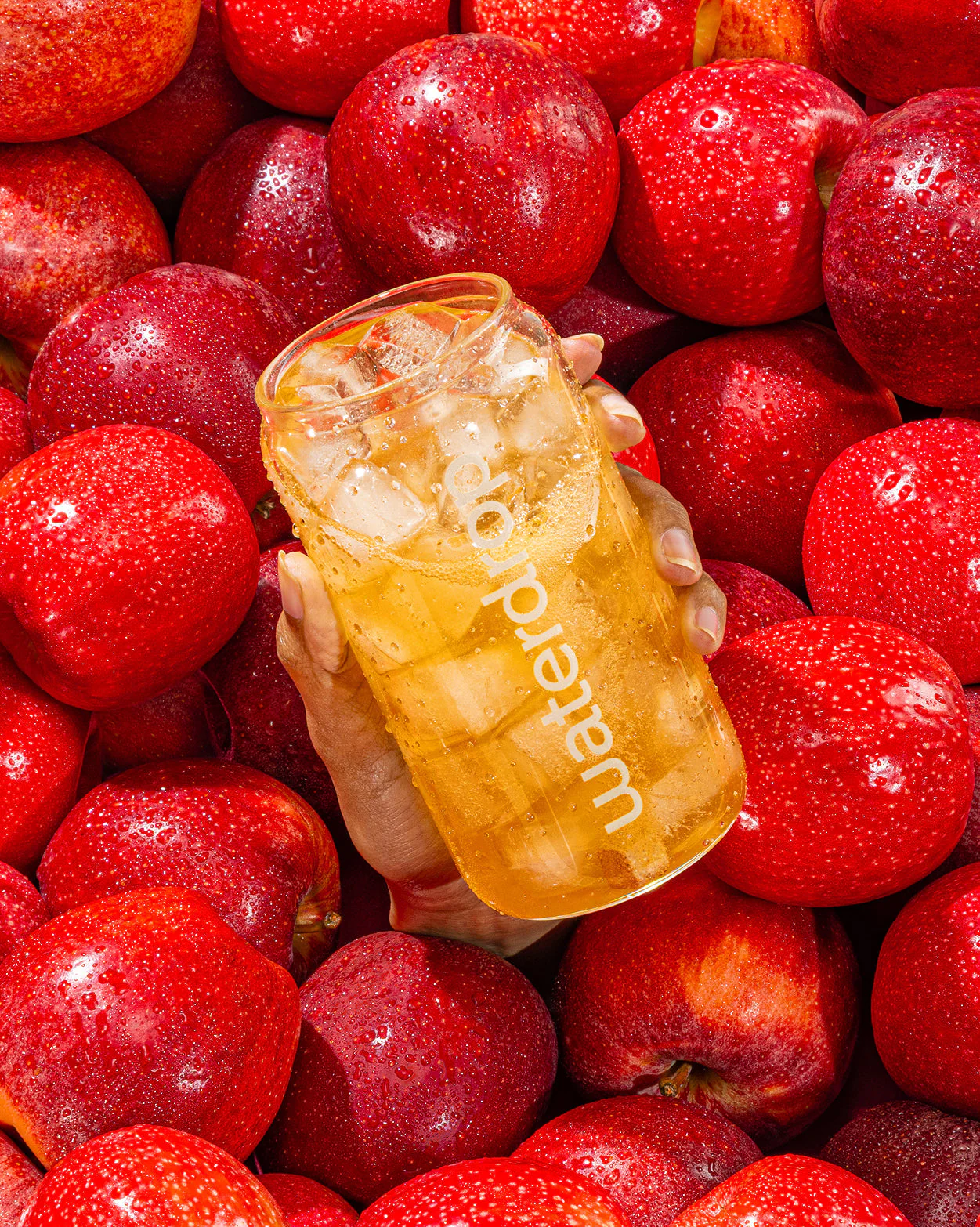 APFEL - Image 4